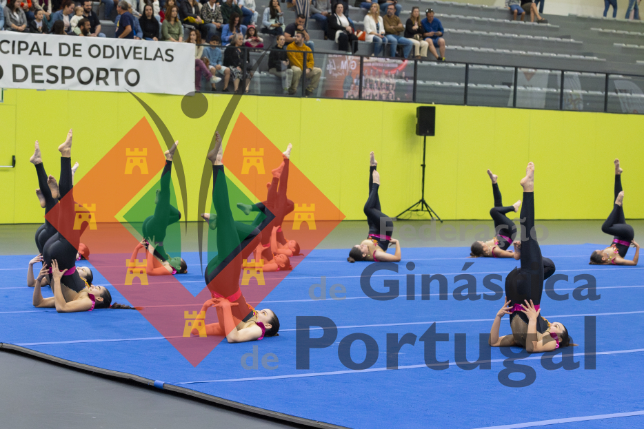 1016_Gym for Life Portugal
